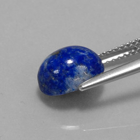 Lápis-lazúli azul natural 2,98ct, corte oval, opaco