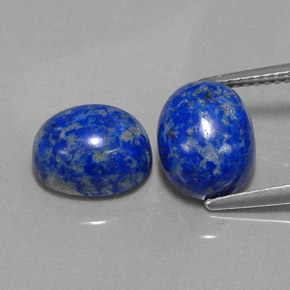 Pedras preciosas de lápis-lazúli azul natural de  ct, corte oval, opaco