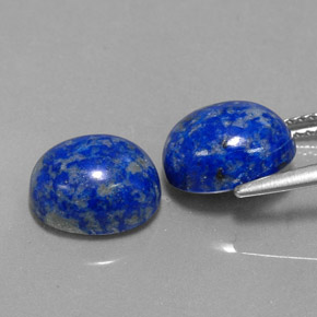 Pedras preciosas de lápis-lazúli azul natural de  ct, corte oval, opaco