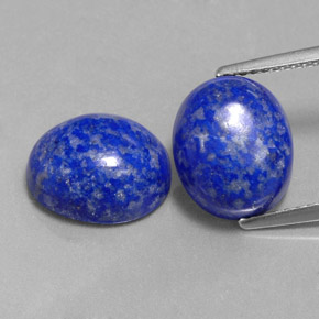 Pedras preciosas de lápis-lazúli azul natural de  ct, corte oval, opaco
