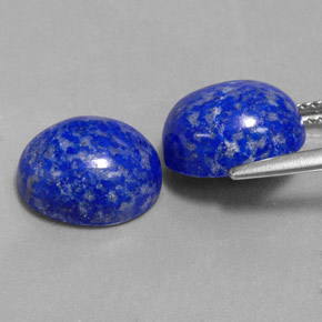 Pedras preciosas de lápis-lazúli azul natural de  ct, corte oval, opaco