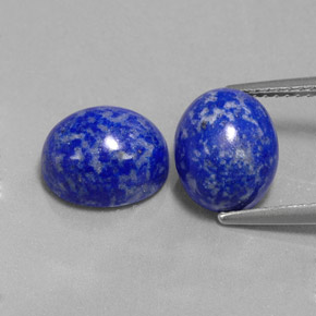 Pedras preciosas de lápis-lazúli azul natural de  ct, corte oval, opaco