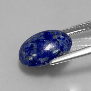 Lápis-lazúli azul natural 3,49ct, corte oval, opaco