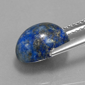 Lápis-lazúli azul natural 3,52ct, corte oval, opaco
