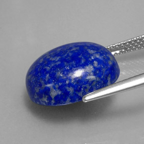 Lápis-lazúli azul natural 8,81ct, corte oval, opaco