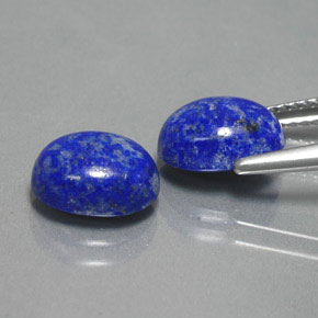 Pedras preciosas de lápis-lazúli azul natural de  ct, corte oval, opaco