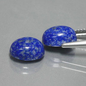 Pedras preciosas de lápis-lazúli azul natural de  ct, corte oval, opaco