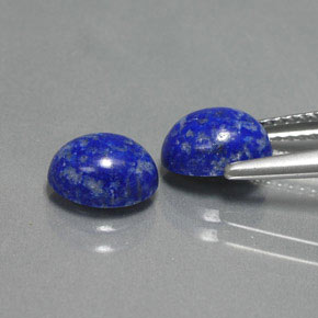 Pedras preciosas de lápis-lazúli azul natural de  ct, corte oval, opaco