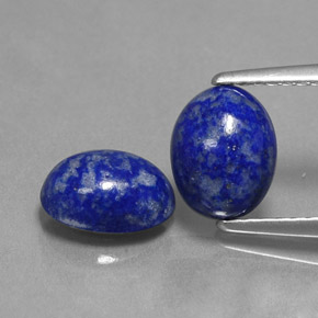 Pedras preciosas de lápis-lazúli azul natural de  ct, corte oval, opaco