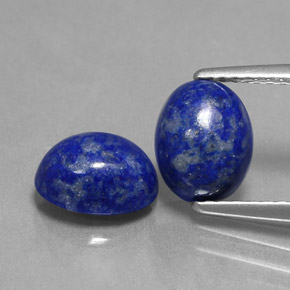 Pedras preciosas de lápis-lazúli azul natural de  ct, corte oval, opaco