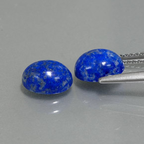 Pedras preciosas de lápis-lazúli azul natural de  ct, corte oval, opaco