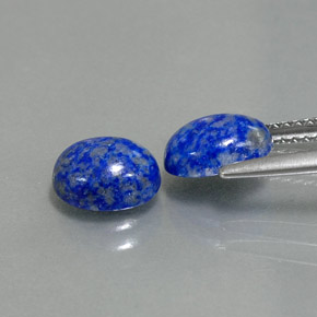 Pedras preciosas de lápis-lazúli azul natural de  ct, corte oval, opaco