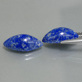 Pedras preciosas de lápis-lazúli azul natural de  ct, marquise, opaco