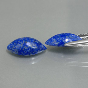Pedras preciosas de lápis-lazúli azul natural de  ct, marquise, opaco