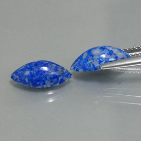 Pedras preciosas de lápis-lazúli azul natural de  ct, marquise, opaco