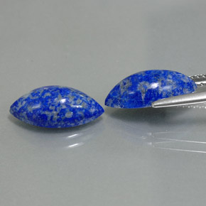 Pedras preciosas de lápis-lazúli azul natural de  ct, marquise, opaco