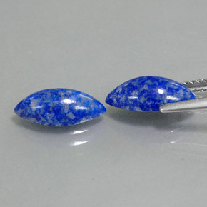 Pedras preciosas de lápis-lazúli azul natural de  ct, marquise, opaco