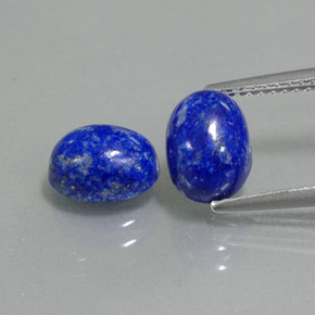 Pedras preciosas de lápis-lazúli azul natural de  ct, corte oval, opaco