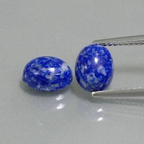 Pedras preciosas de lápis-lazúli azul natural de  ct, corte oval, opaco