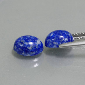 Pedras preciosas de lápis-lazúli azul natural de  ct, corte oval, opaco