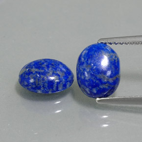 Pedras preciosas de lápis-lazúli azul natural de  ct, corte oval, opaco