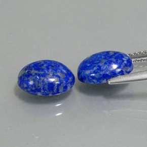 Pedras preciosas de lápis-lazúli azul natural de  ct, corte oval, opaco