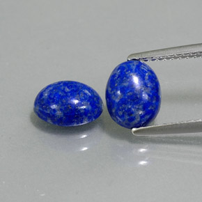 Pedras preciosas de lápis-lazúli azul natural de  ct, corte oval, opaco