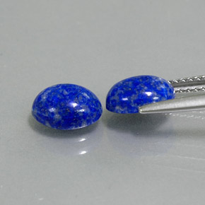 Pedras preciosas de lápis-lazúli azul natural de  ct, corte oval, opaco
