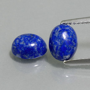 Pedras preciosas de lápis-lazúli azul natural de  ct, corte oval, opaco