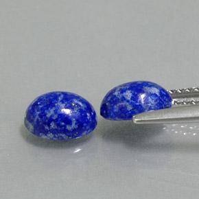 Pedras preciosas de lápis-lazúli azul natural de  ct, corte oval, opaco