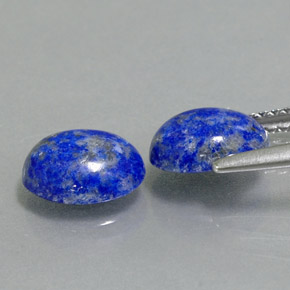 Pedras preciosas de lápis-lazúli azul natural de  ct, corte oval, opaco