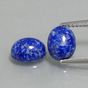 Pedras preciosas de lápis-lazúli azul natural de  ct, corte oval, opaco
