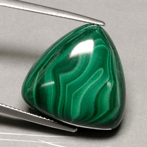 Malaquita verde natural 34,17ct, trillion, opaco