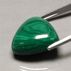 Malaquita verde natural 34,16ct, trillion, opaco