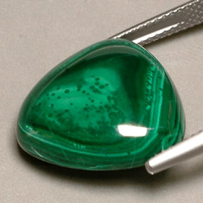 Malaquita verde natural 22,53ct, trillion, opaco