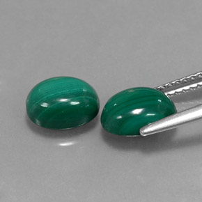 Pedras preciosas de malaquita verde natural de  ct, corte oval, opaco