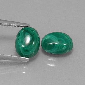 Pedras preciosas de malaquita verde natural de  ct, corte oval, opaco