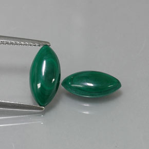 Pedras preciosas de malaquita verde natural de  ct, marquise, opaco