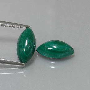 Pedras preciosas de malaquita verde natural de  ct, marquise, opaco