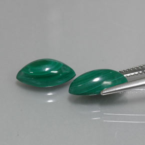 Pedras preciosas de malaquita verde natural de  ct, marquise, opaco