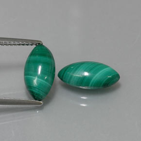 Pedras preciosas de malaquita verde natural de  ct, marquise, opaco