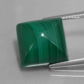 Malaquita verde natural 15,43ct, quadrado, opaco