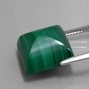 Malaquita verde natural 15,43ct, quadrado, opaco