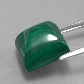 Malaquita verde natural 15,78ct, quadrado, opaco