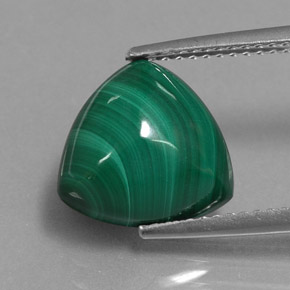 Malaquita verde natural 6,13ct, trillion, opaco