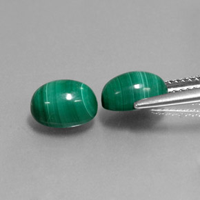 Pedras preciosas de malaquita verde natural de  ct, corte oval, opaco