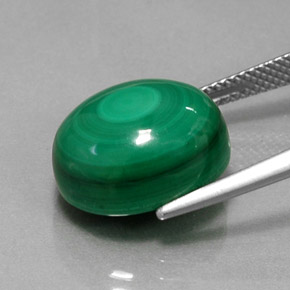 Malaquita verde natural 15,46ct, corte oval, opaco