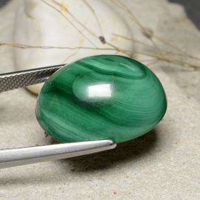 Malaquita verde natural 32,84ct, corte oval, opaco