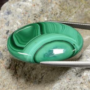 Malaquita verde natural 34,94ct, corte oval, opaco