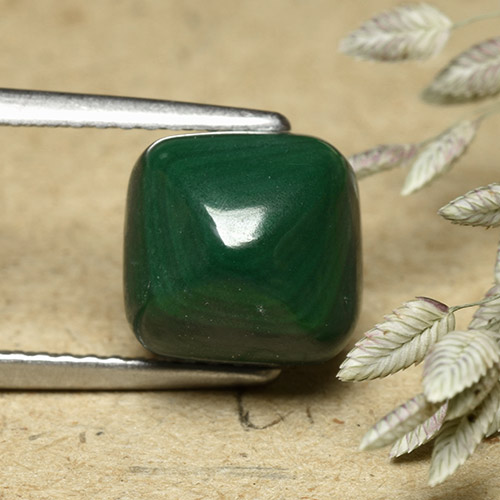 Malaquita verde natural 6,32ct, almofada cortada, opaco